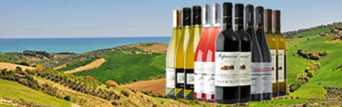 Acquista on line i vini abruzzesi di Illuminati