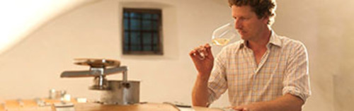 Acquista on line i vini di Pacherhof
