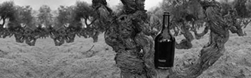 Acquista  online vini quartomoro a prezzo speciale