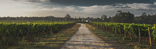Acquista on line i vini di Salustri