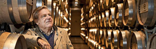 Acquista on line i vini di Tenuta San Guido