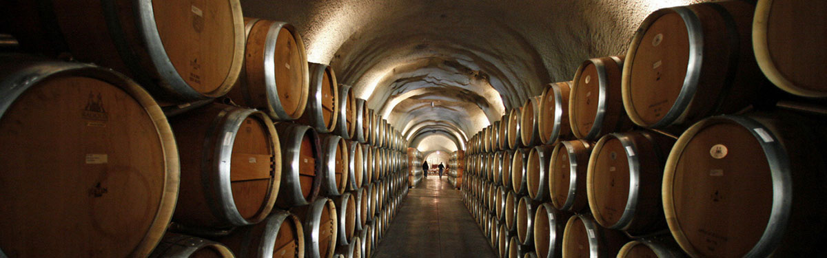 Acquista on line i vini delle migliori cantine