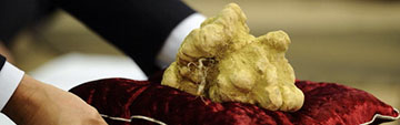 Acquista on line i vini perfetti con il tartufo